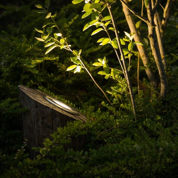Grondlamp rond kastanjehout struik