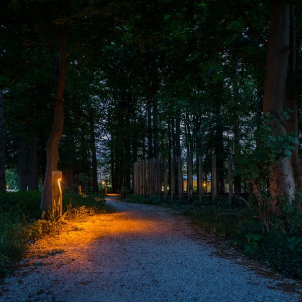 Houten padverlichting met vleermuisvriendelijke lichtkleur op een bospad